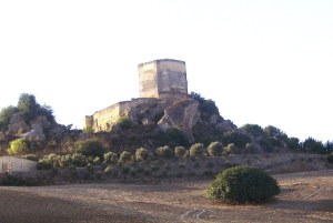 Vista del Castillo de Fatetar (Espera, Cádiz) con su inmensa torre del Homenaje (Foto: Manuel J. Castro).